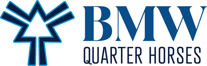BMW Quarter Horses